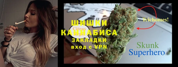 молекула духа Надым