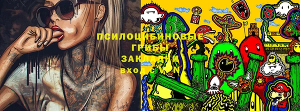 тгк Бикин