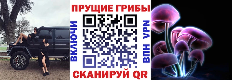 Псилоцибиновые грибы Psilocybine cubensis  Макушино 